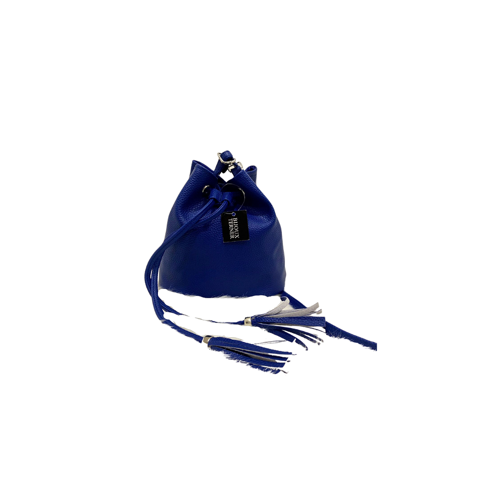 CARTERA BIJOUX TERNER MINI BUCKET BAG BLUE 239658