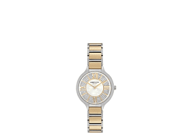 Reloj Kenneth Cole New York Plateado Mujer Kc51011003