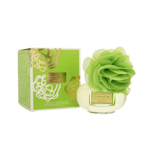 Perfume Coach Poppy Citrine Blossom Mujer Edp 100 ml