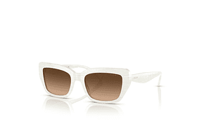 Lente De Sol Inyectado Acetato Ralph Lauren Mujer 0Ra5292 60347453