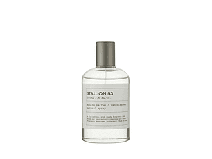 PERFUME EMPER STALLION 53 UNISEX EDP 100 ML TESTER