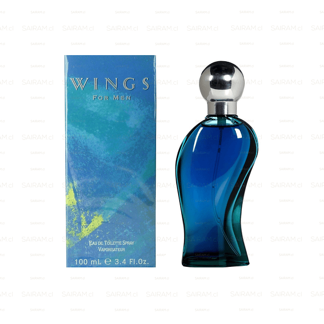 PERFUME WINGS HOMBRE EDT 100 ML