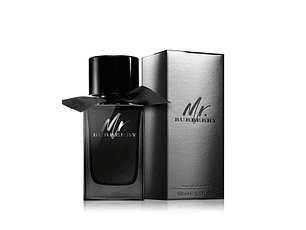 PERFUME MR BURBERRY VARON EDP 100 ML