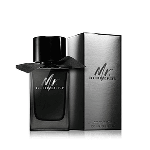 PERFUME MR BURBERRY VARON EDP 100 ML