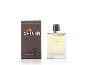 Perfume Terre Dhermes Hombre Edt 100 ml