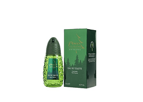 Perfume Pino Silvestre Varon Edt 125 ml