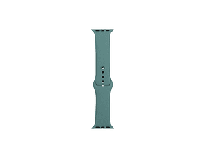 Correa Songz Para Watch Green 42/44Mm 745964130706