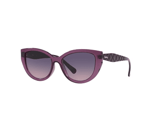 LENTE DE SOL INYECTADO MUJER KIPLING 0KP4081 M27255 