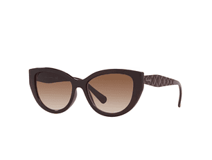 LENTE DE SOL INYECTADO MUJER KIPLING 0KP4081 M27155