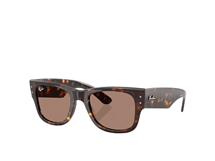 LENTE DE SOL PROPINATO UNISEX RAYBAN  0RB0840S 9021A51