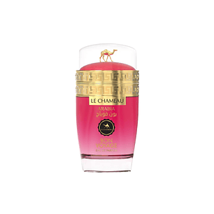PERFUME LE CHAMEAU ARABIA BON VOYAGE MUJER EDP 100 ML TESTER