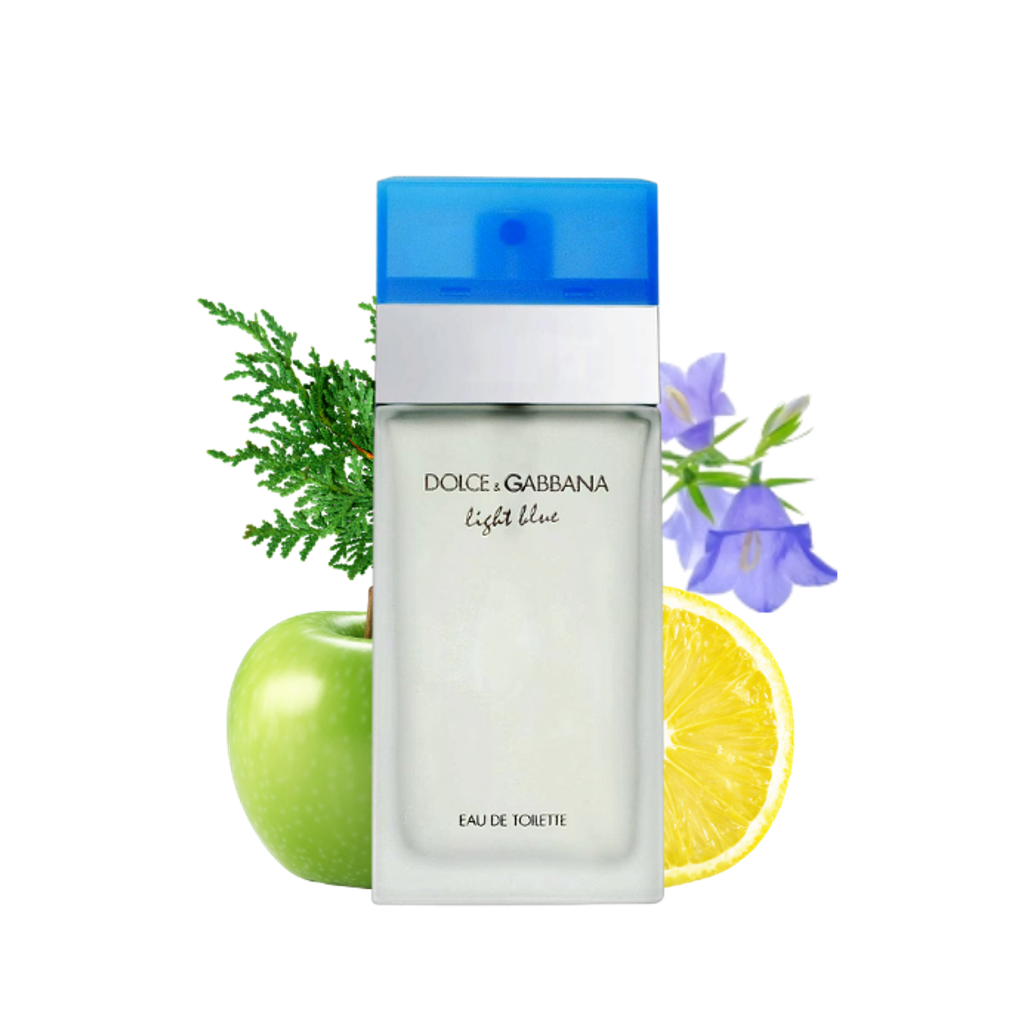 PERFUME LIGHT BLUE DAMA EDT 100 ML 1