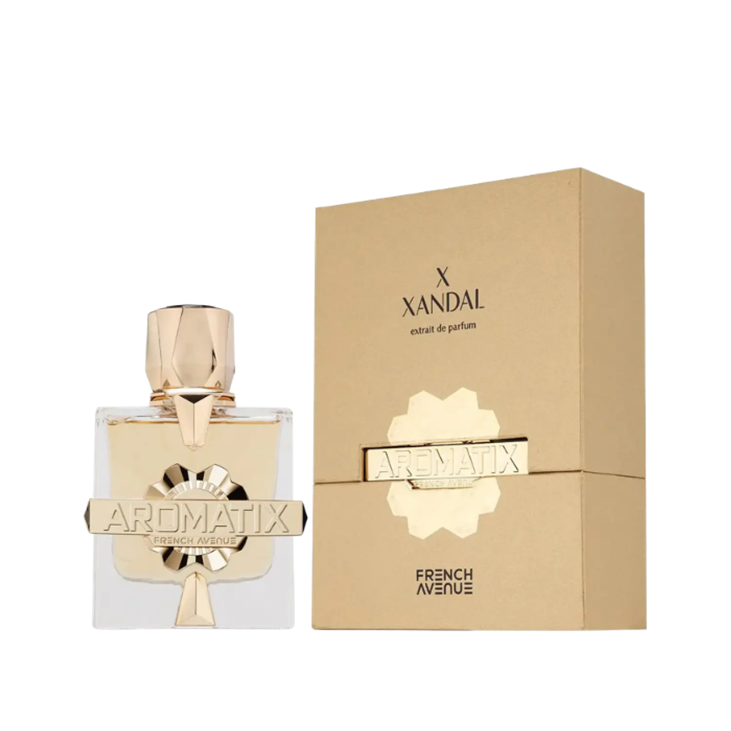 PERFUME FRENCH AVENUE AROMATIX X XANDAL UNISEX EDP 100 ML