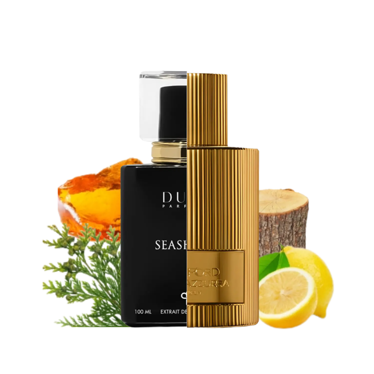 PERFUME DUPE PARFUMS SEASHORE UNISEX EDP 100 ML / 3 ML 1