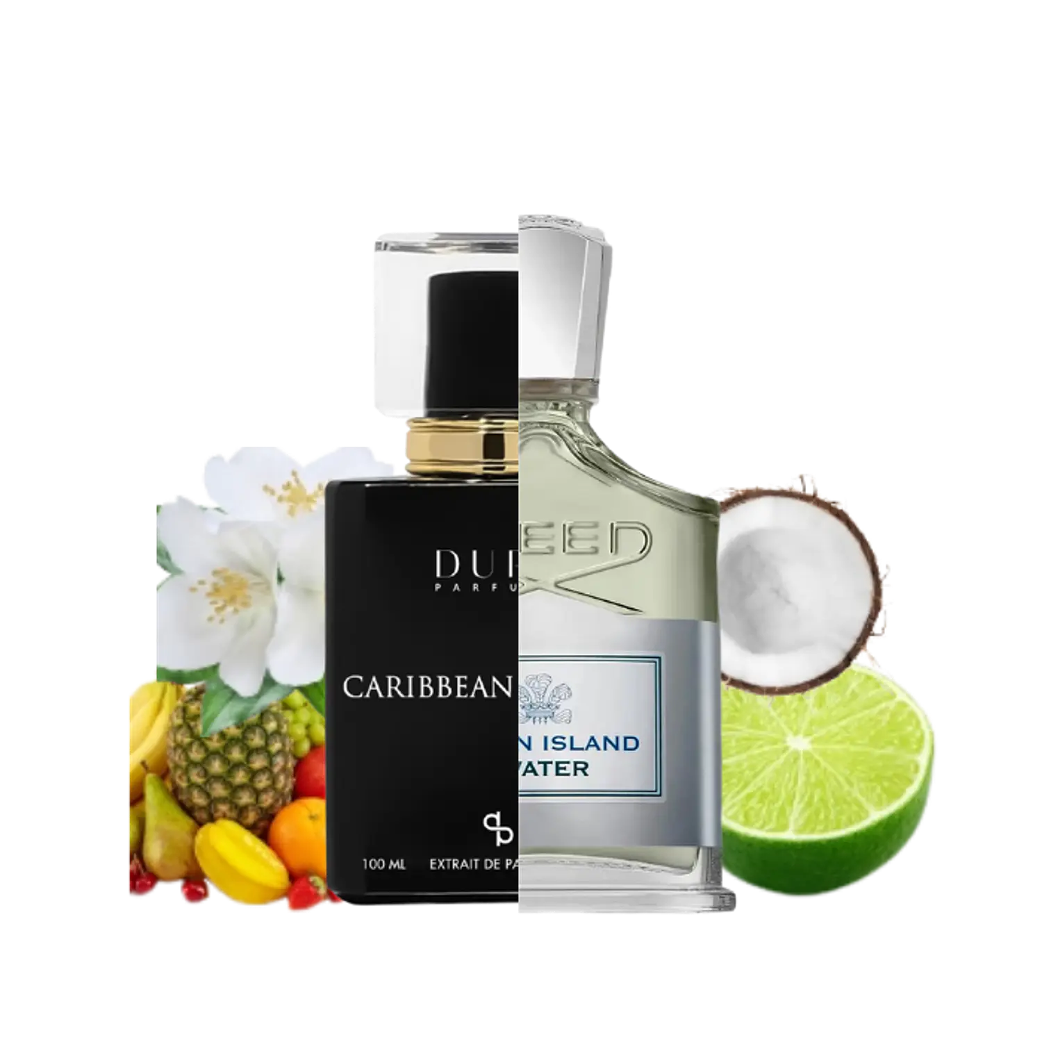 PERFUME DUPE PARFUMS CARIBBEAN DREAMS UNISEX EDP 100 ML / 3 ML 1