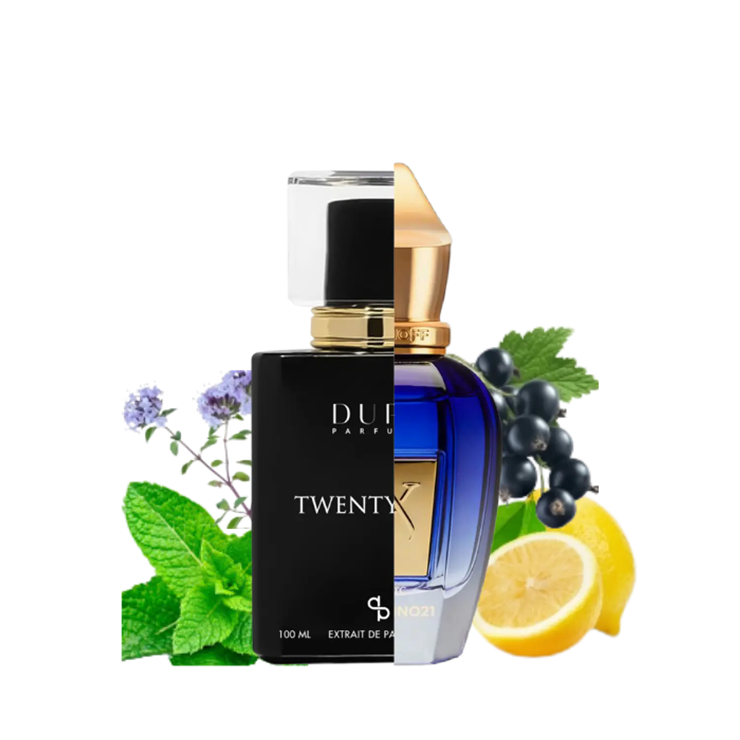 PERFUME DUPE PARFUMS TWENTY ONE UNISEX EDP 100 ML / 3 ML 1