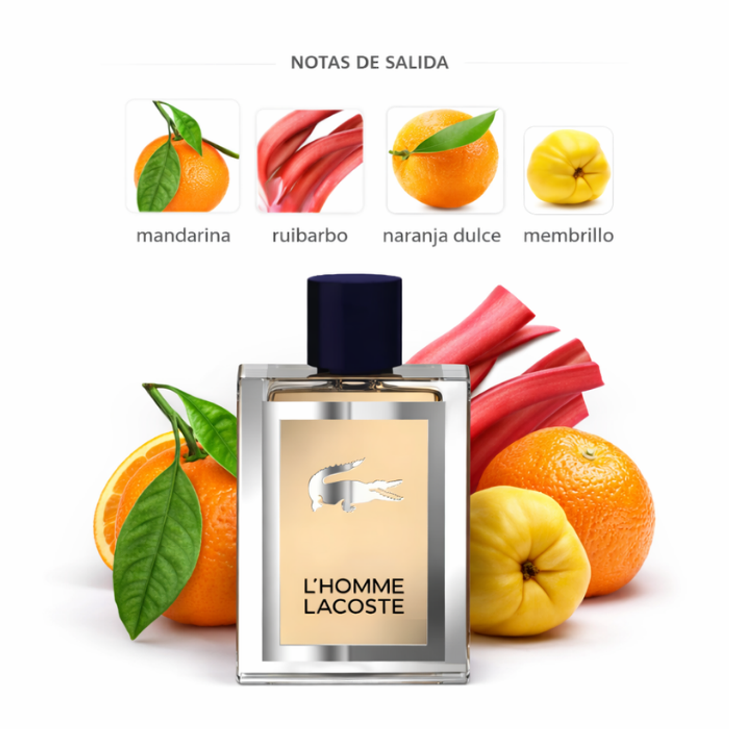 PERFUME LACOSTE L HOMME VARON EDT 100 ML 1