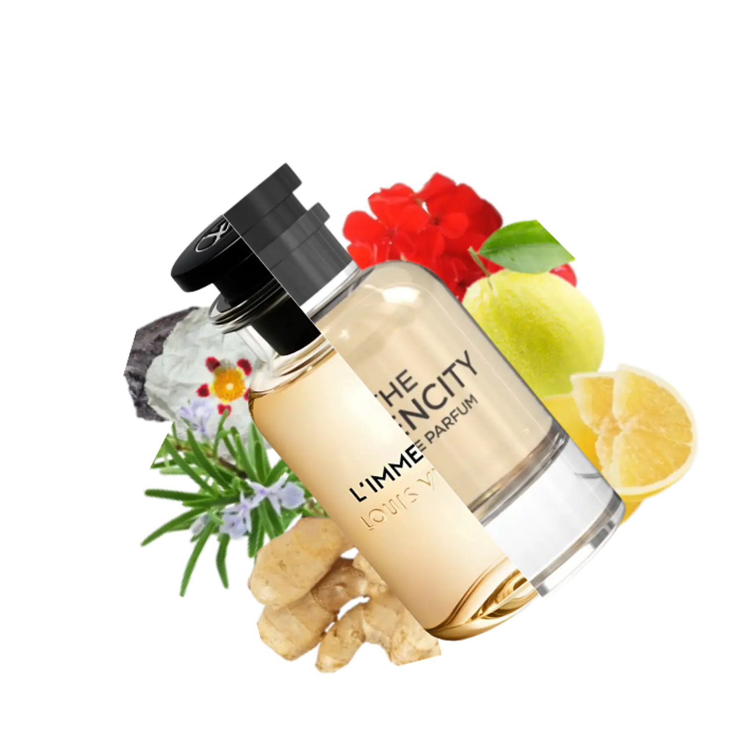 PERFUME EMPER THE IMMENCITY UNISEX EDP 100 ML 1
