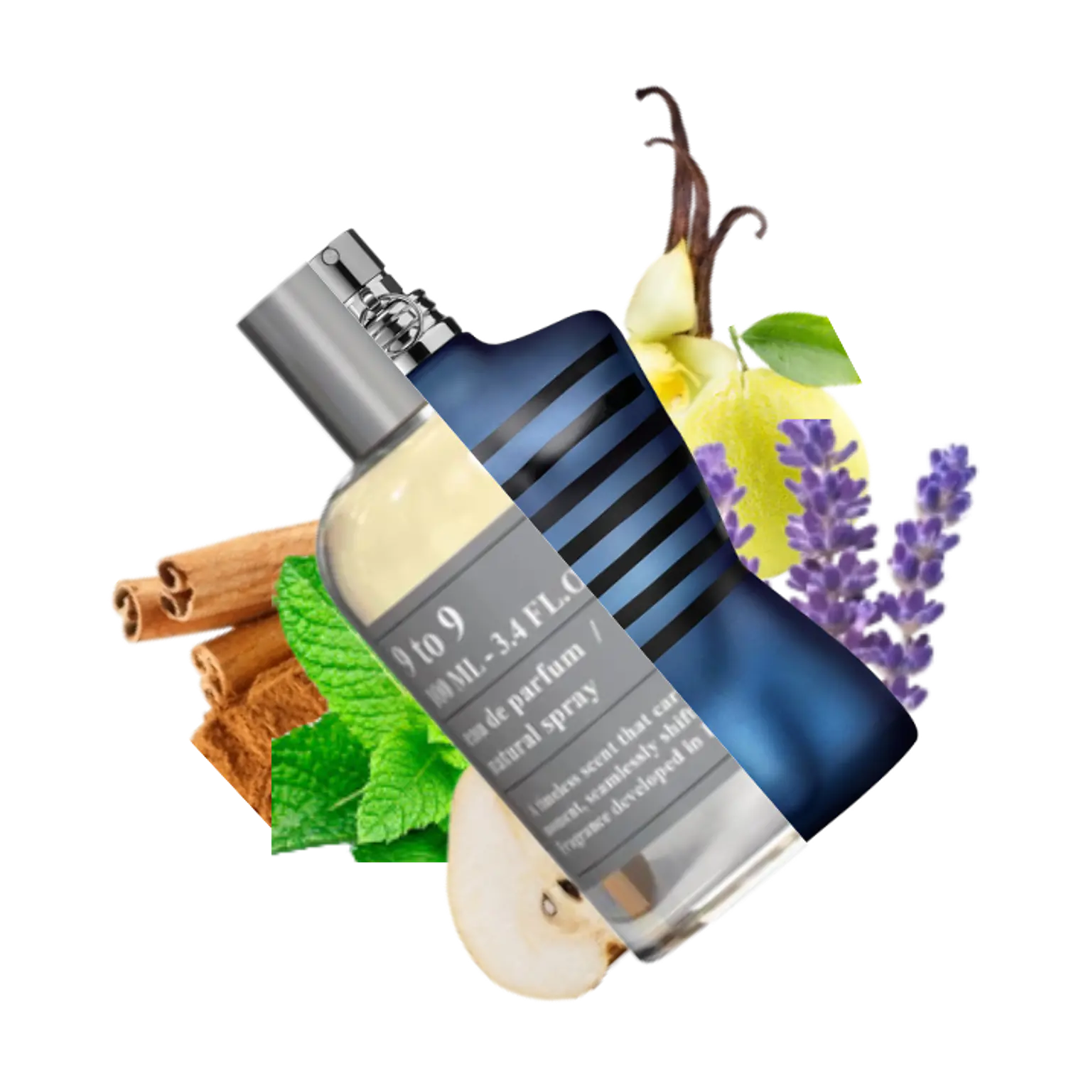 PERFUME EMPER 9 TO 9 BY STALLION 53 UNISEX EDP 100 ML 1