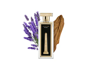 PERFUME BOSHARA ANCIENTSPIRE UNISEX EDP 80ML