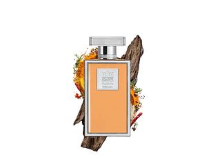 PERFUME BOSHARA JUSTINIAN UNISEX EDP 80ML TESTER