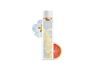 PERFUME BOSHARA RAYEQ UNISEX EDP 100ML