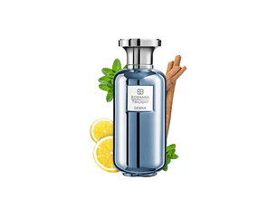 PERFUME BOSHARA TWILIGHT HOMBRE EDP 100 ML
