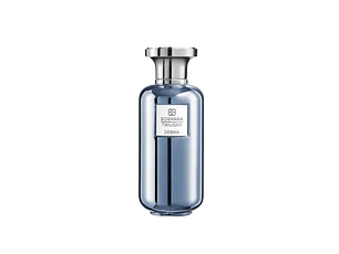 PERFUME BOSHARA TWILIGHT HOMBRE EDP 100 ML TESTER