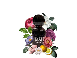 PERFUME LES FOLIES DU PARFUM 22.22 UNISEX EDP 100ML