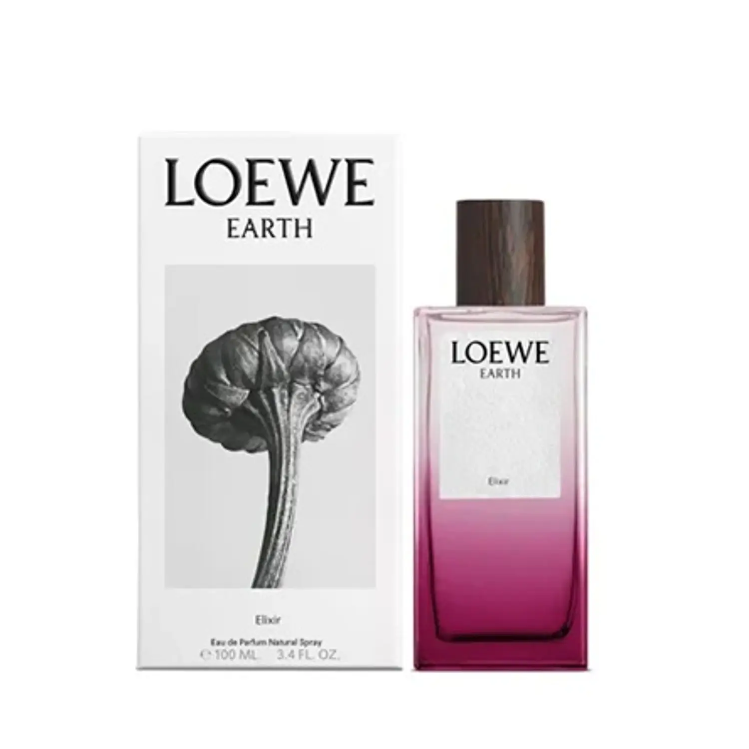 PERFUME LOEWE EARTH ELIXIR UNISEX EDP 100 ML 