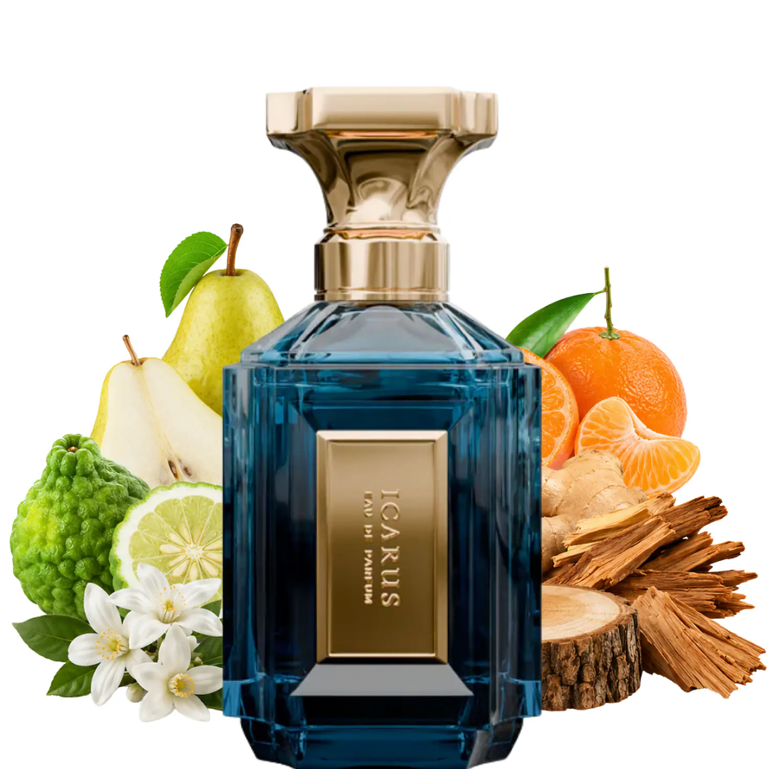 PERFUME VELIXIR ICARUS UNISEX EDP 100 ML 2