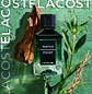 PERFUME LACOSTE MATCH POINT VARON EDP 100 ML - Miniatura 2