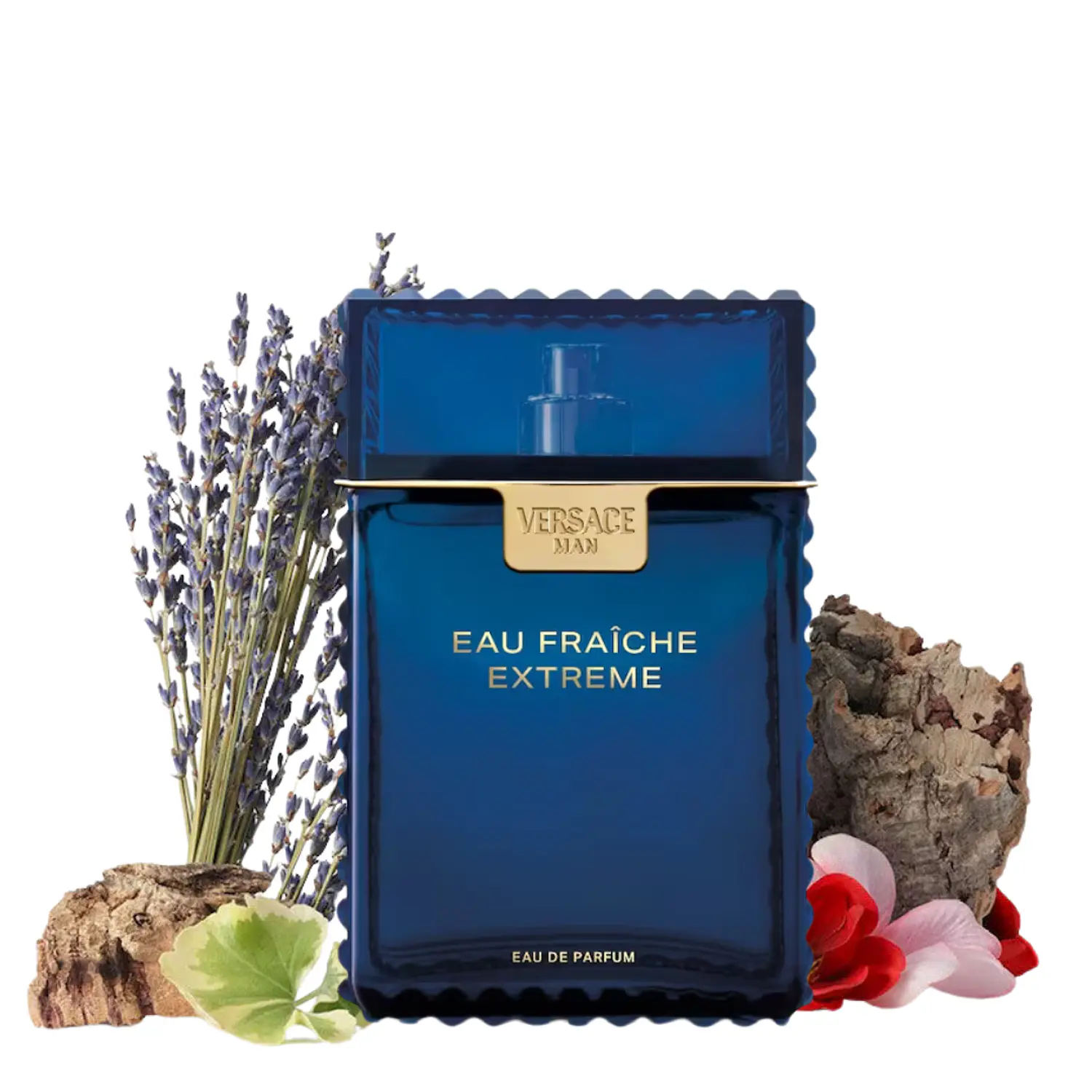 PERFUME VERSACE EAU FRAICHE EXTREME VARON EDP 100 ML 2