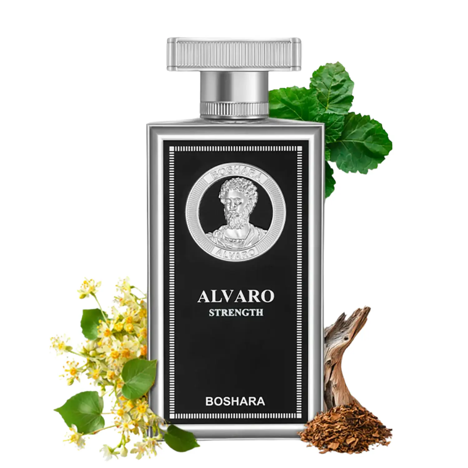 PERFUME BOSHARA ALVARO STRENGTH HOMBRE EDP 100 ML 2