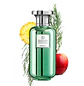 PERFUME BOSHARA ELEGANCE HOMBRE  EDP 100 ML - Miniatura 2