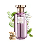 PERFUME BOSHARA JOLIE MUJER EDP 100 ML - Miniatura 2