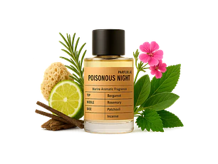 PERFUME PARFUM.AE POISONOUS NIGHT UNISEX EDP 100 ML