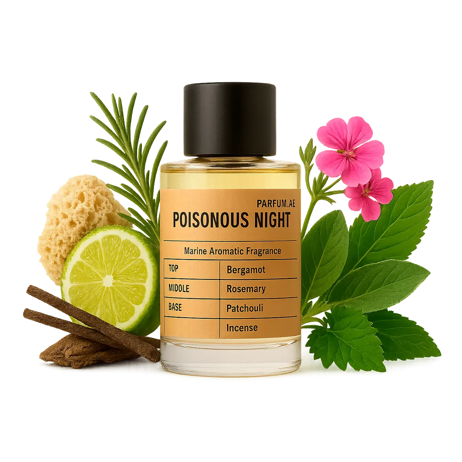 PERFUME PARFUM.AE POISONOUS NIGHT UNISEX EDP 100 ML