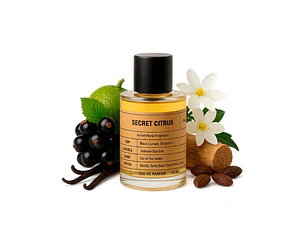 PERFUME PARFUM.AE SECRET CITRUS UNISEX EDP 100 ML
