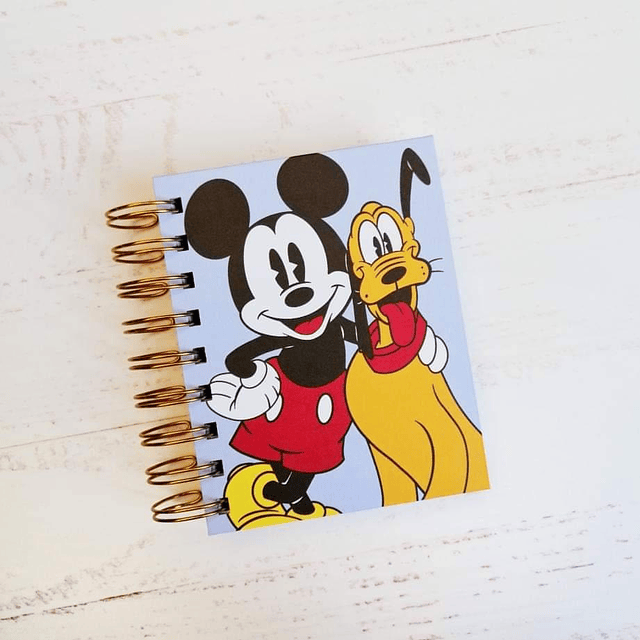 Micro Notes Mickey & Pluto