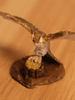 Owl Miniatura Nolzur Familiars Dungeons And Dragons - Miniatura 1