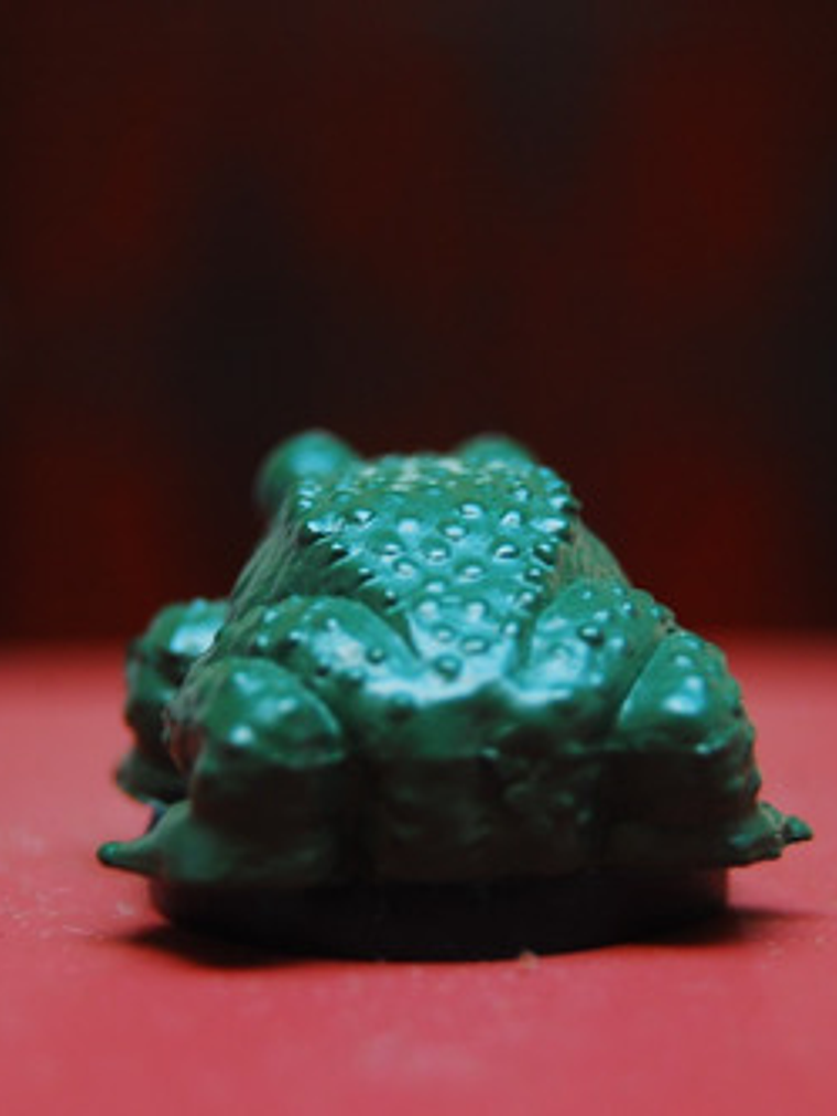 Giant Frog #28 Deathknell Miniatura Dungeons And Dragons 3
