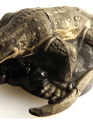 Monitor Lizard #29 Underdark Miniatura Dungeons And Dragons