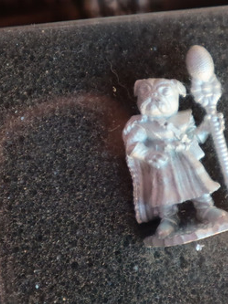 Tiger Lily The Pug Mage Dark Sword Miniatura Dungeons Dragon 4