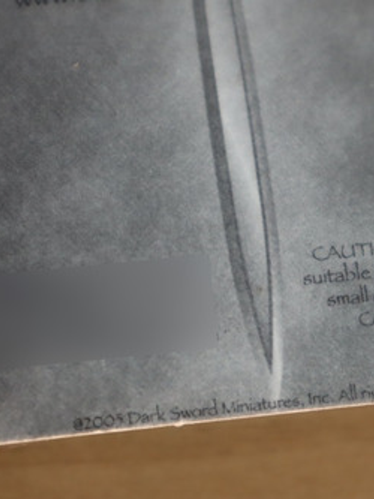 Tiger Lily The Pug Mage Dark Sword Miniatura Dungeons Dragon 6