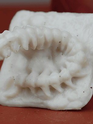 Centipede / Mini Reaper Pintar Dungeons And Dragons