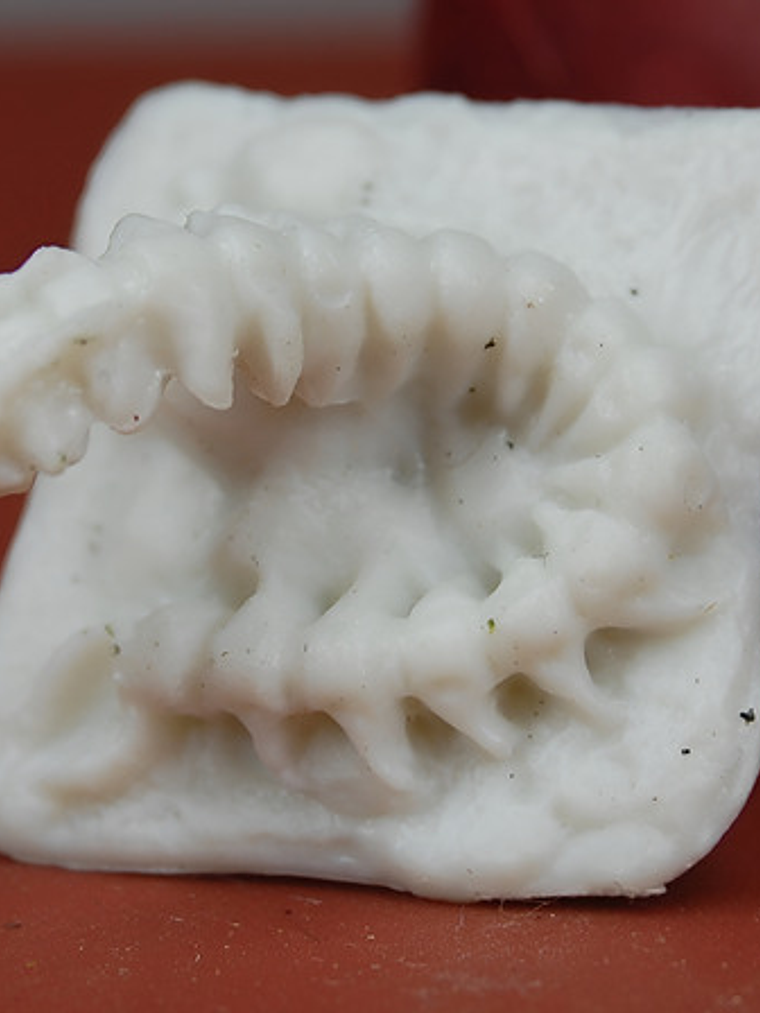 Centipede / Mini Reaper Pintar Dungeons And Dragons 1