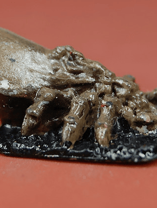 Giant Tick / Mini Reaper Dungeons And Dragons