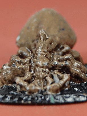 Giant Tick / Mini Reaper Dungeons And Dragons