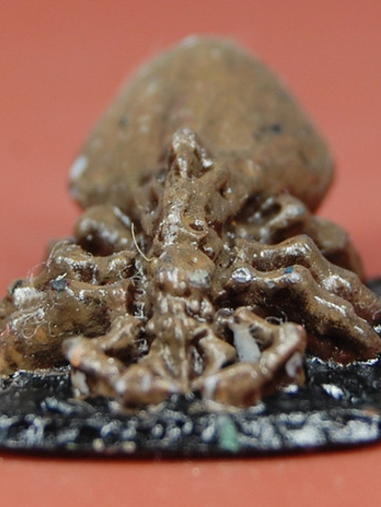 Giant Tick / Mini Reaper Dungeons And Dragons 2